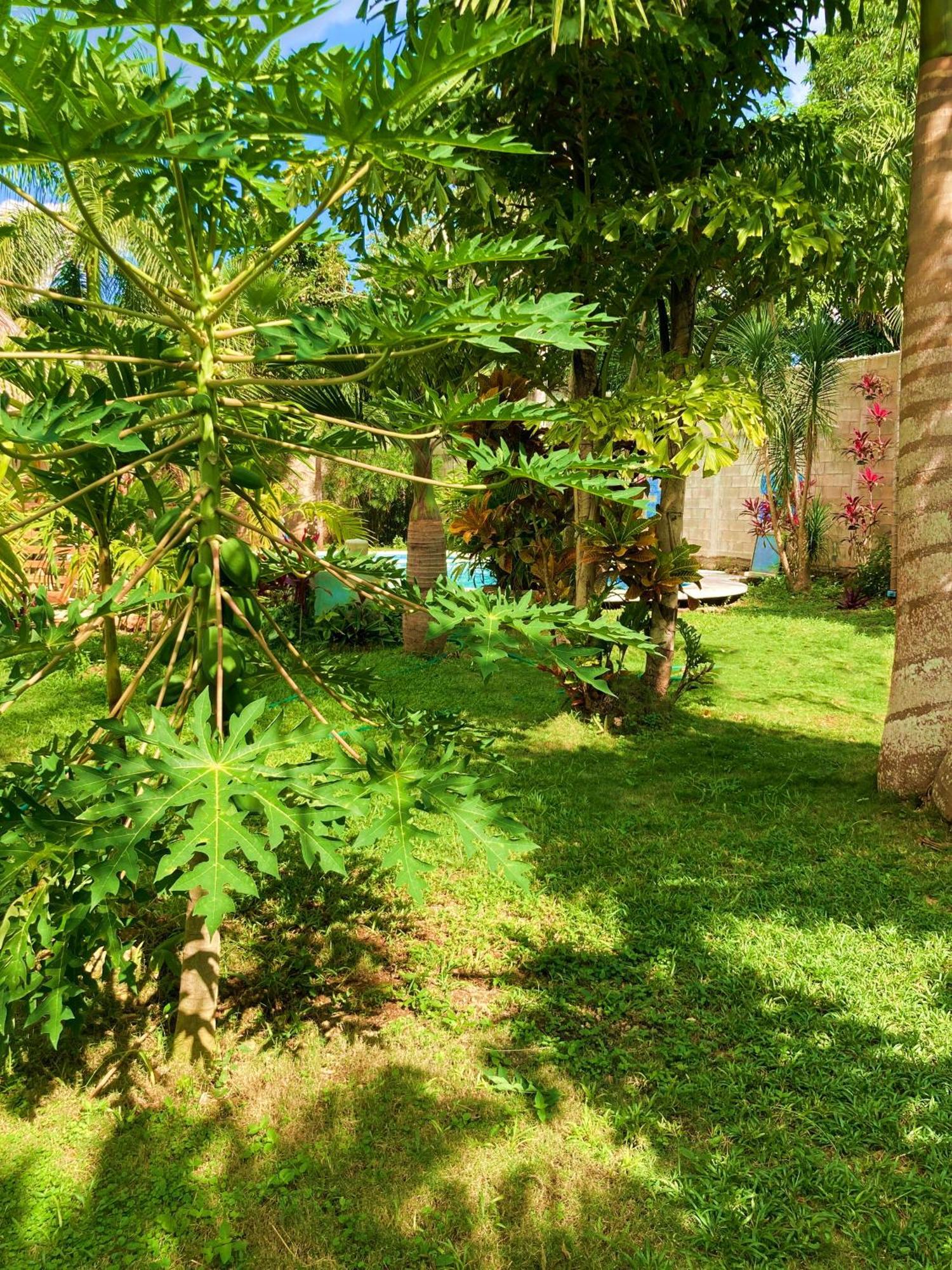 Green Paradise Leona Vicario Eksteriør bilde